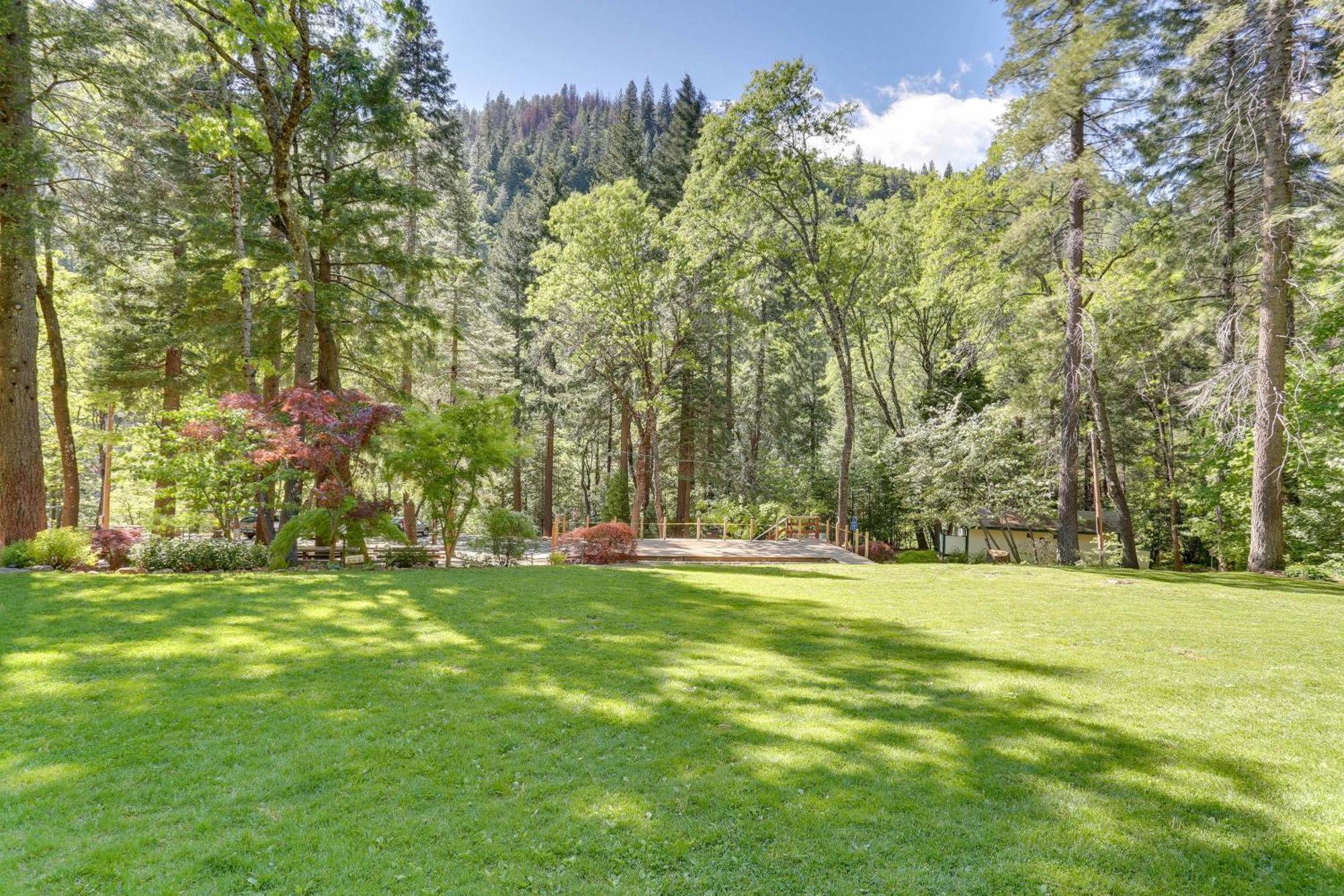 Dunsmuir Apartment About 17 Mi To Mt Shasta Ski Park! Esterno foto